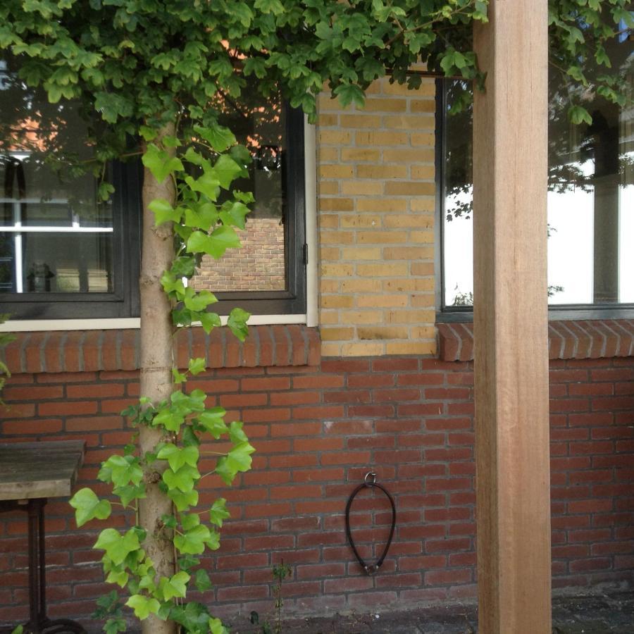 Appartement Zuid ザントフォールト エクステリア 写真