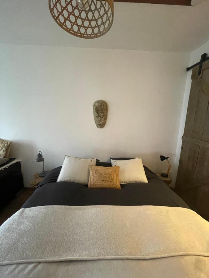 Appartement Zuid ザントフォールト エクステリア 写真