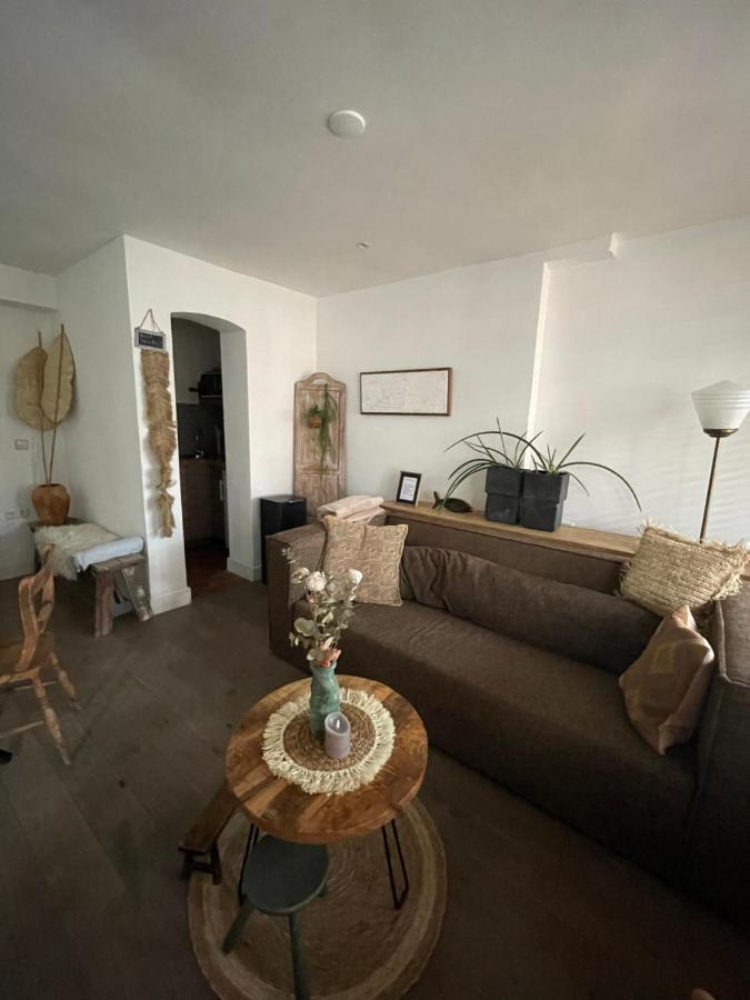 Appartement Zuid ザントフォールト エクステリア 写真