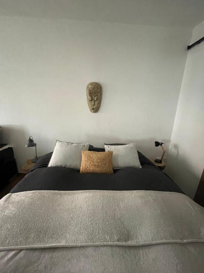 Appartement Zuid ザントフォールト エクステリア 写真